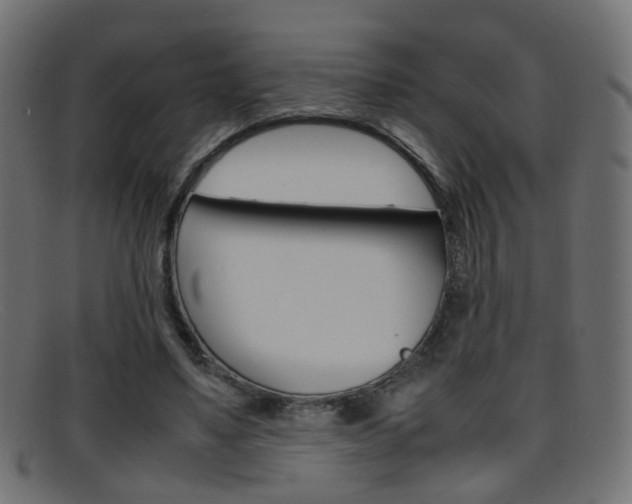 X0000095690491200801081042