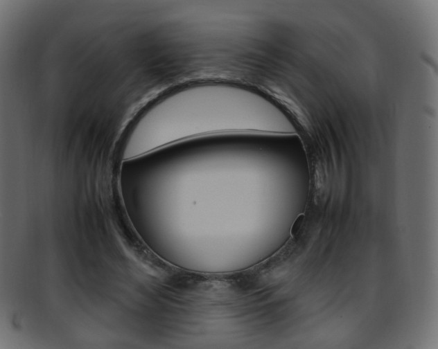 X0000095690492200801081042