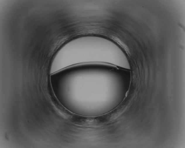 X0000095690493200801081042