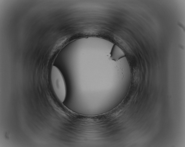 X0000095690494200801081042