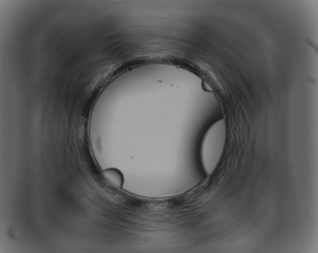 X0000095690495200801081042