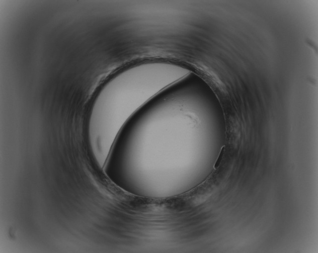 X0000095690496200801081042