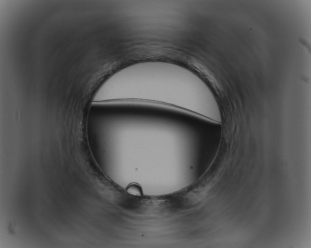 X0000095690497200801081042