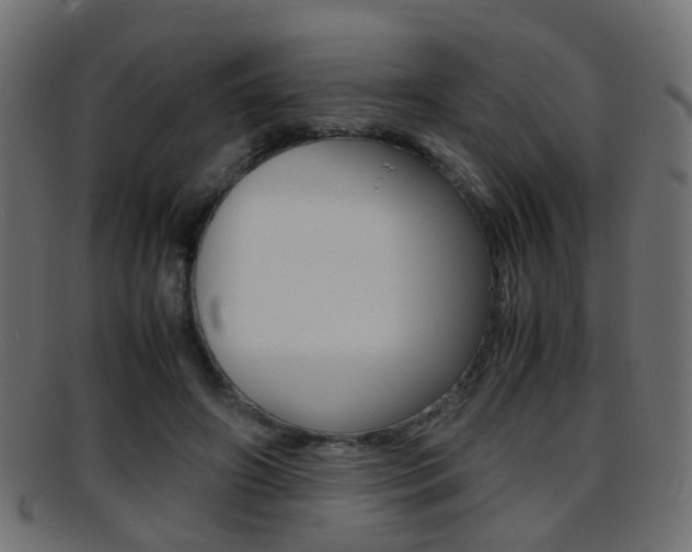 X0000095690498200801081042