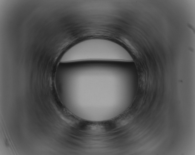 X0000095690500200801081042
