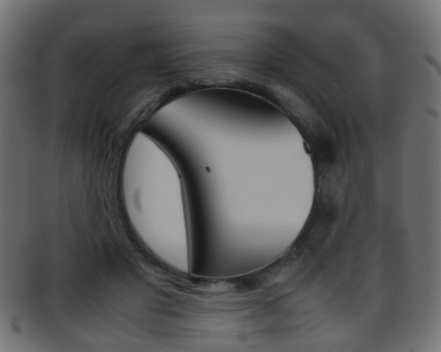 X0000095690501200801081042
