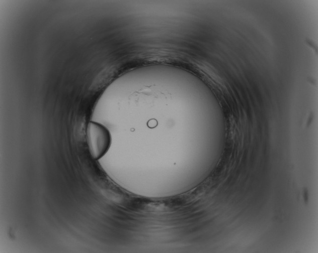 X0000095690502200801081042