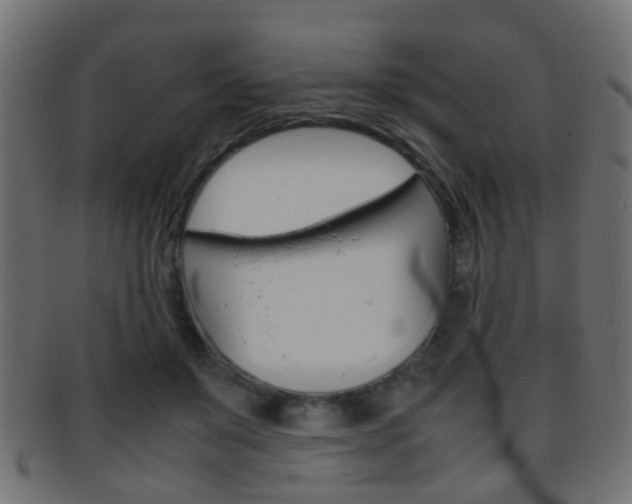 X0000095690503200801081041