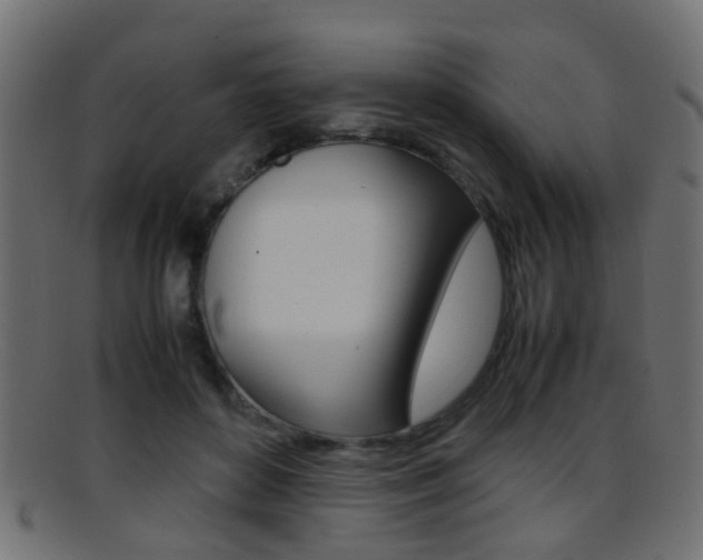 X0000095690504200801081041