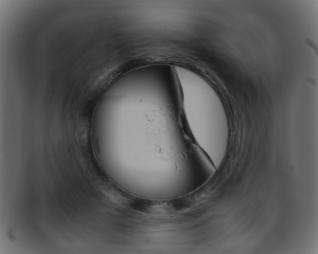 X0000095690505200801081041