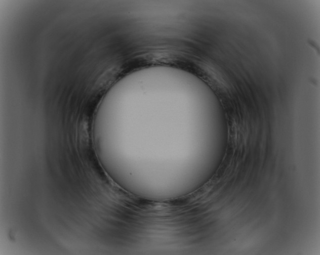 X0000095690506200801081041