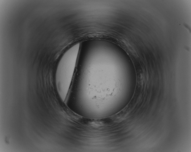 X0000095690508200801081041