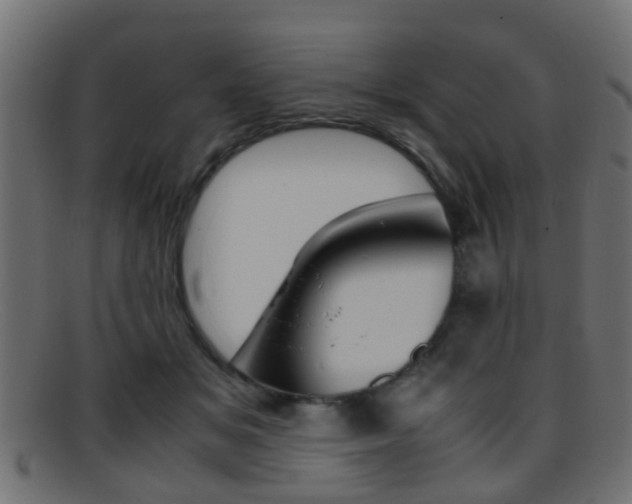 X0000095690509200801081041