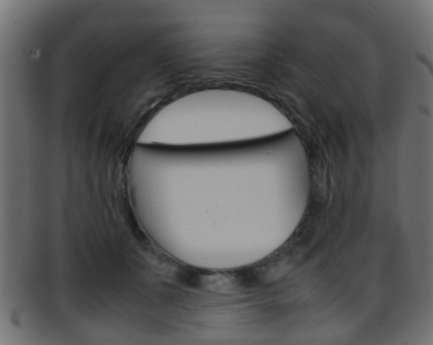 X0000095690511200801081041