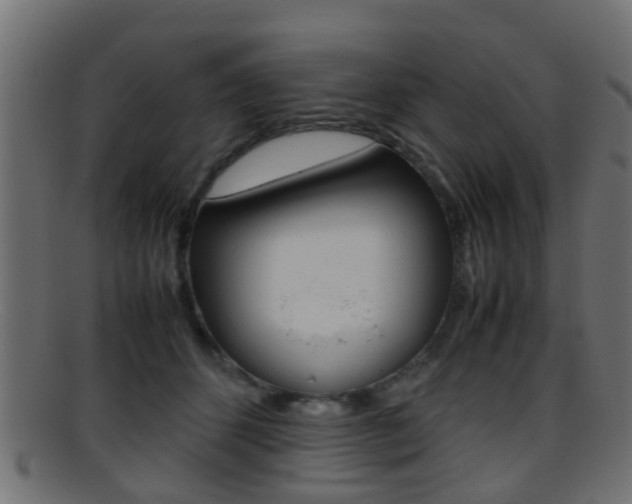 X0000095690512200801081041