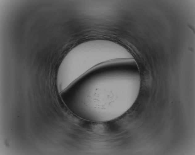 X0000095690513200801081041