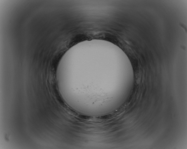 X0000095690515200801081041