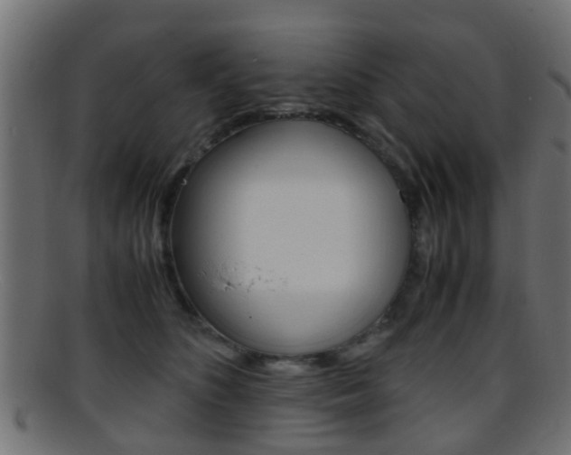 X0000095690516200801081041