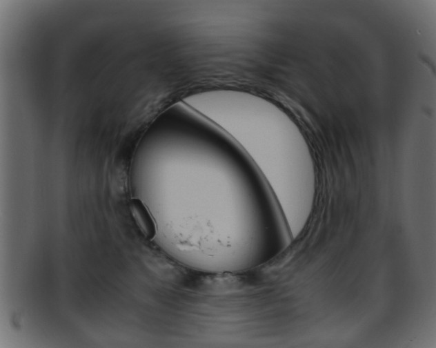 X0000095690517200801081041