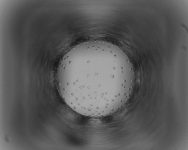X0000095690519200801081041