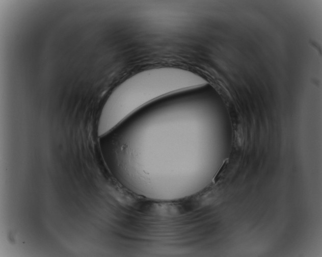 X0000095690520200801081041