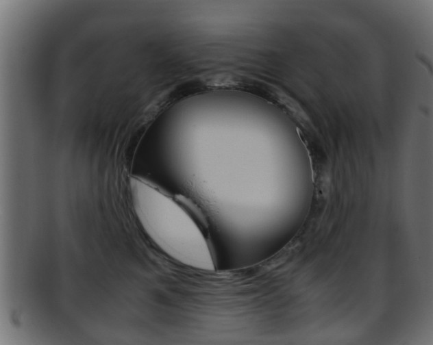 X0000095690521200801081041