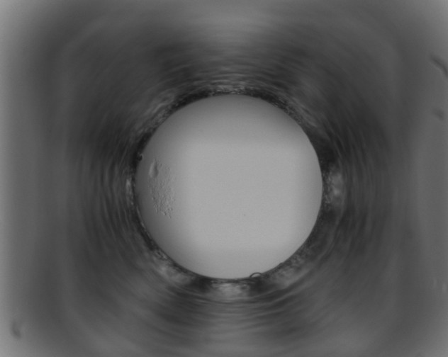 X0000095690522200801081041