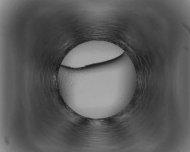 X0000095690523200801081041