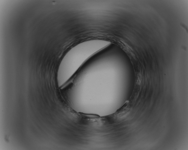 X0000095690524200801081041