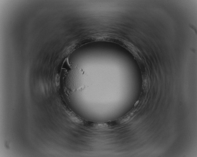 X0000095690525200801081041