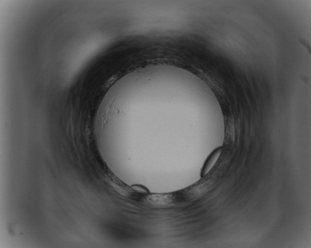 X0000095690526200801081041