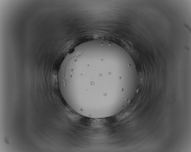X0000095690527200801081041