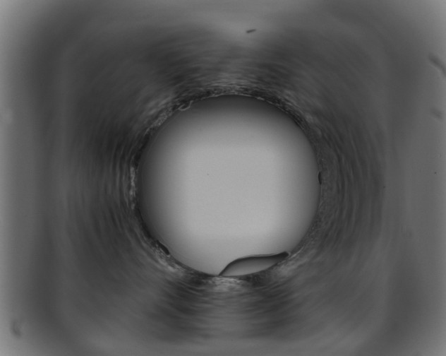 X0000095690528200801081041