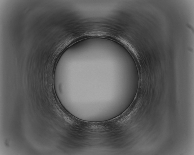X0000095690529200801081041