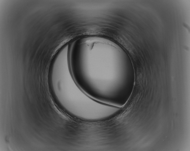 X0000095690530200801081041