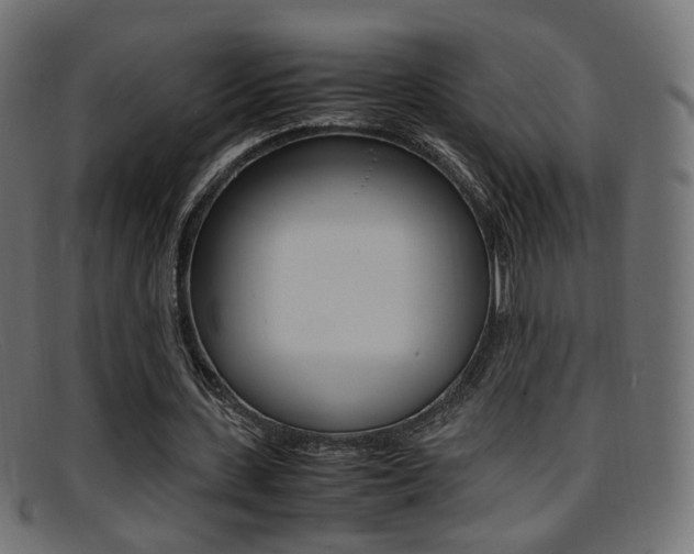 X0000095690531200801081041
