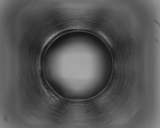X0000095690532200801081041