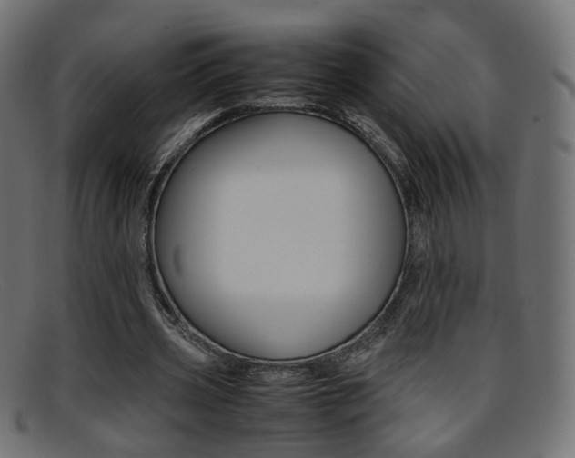 X0000095690533200801081041
