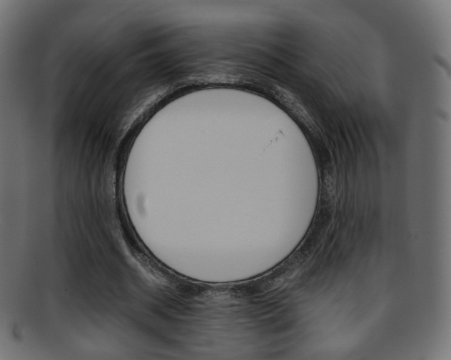 X0000095690534200801081041
