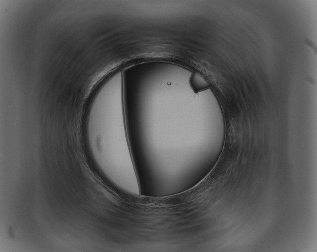 X0000095690535200801081041