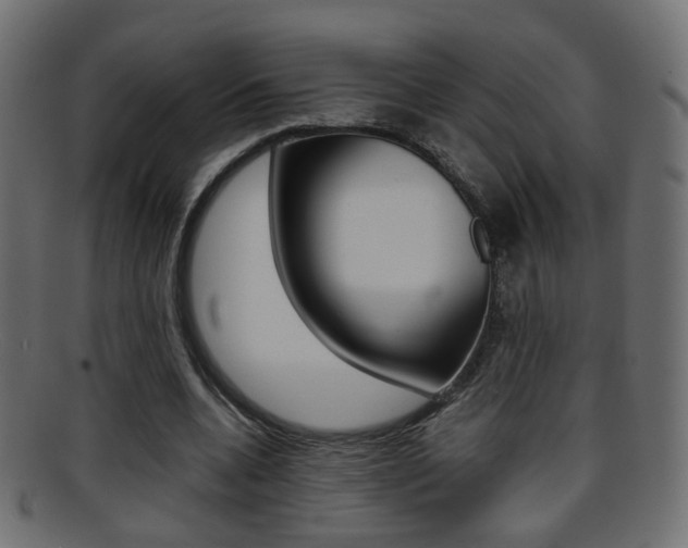 X0000095690536200801081041