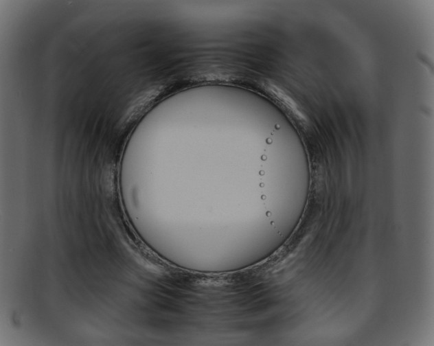 X0000095690537200801081041