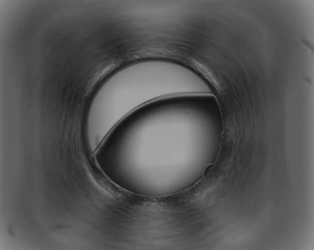 X0000095690538200801081041