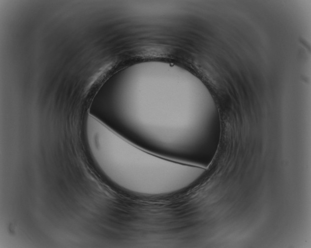 X0000095690539200801081041