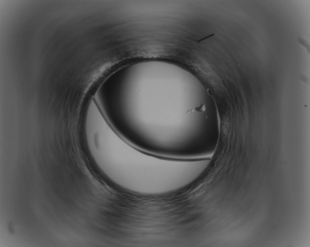 X0000095690540200801081041