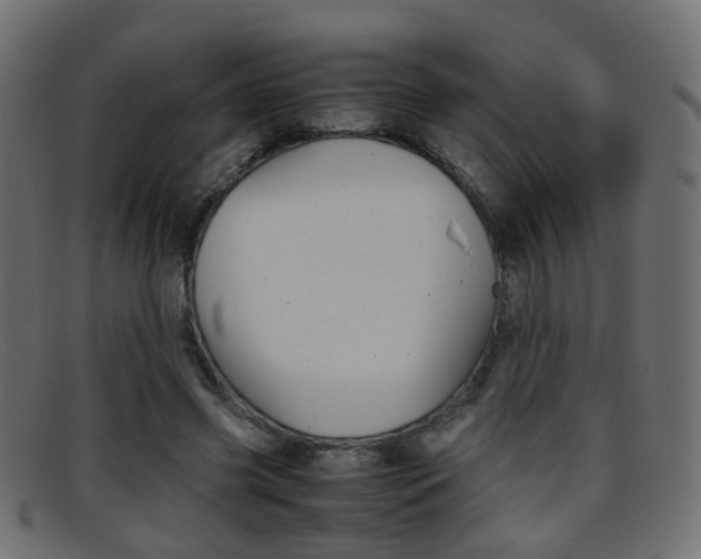 X0000095690541200801081041