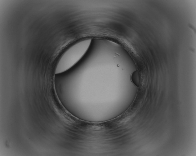X0000095690542200801081041