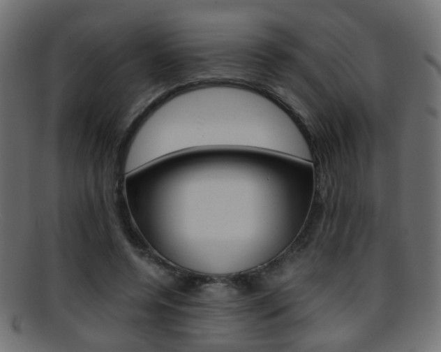 X0000095690544200801081041