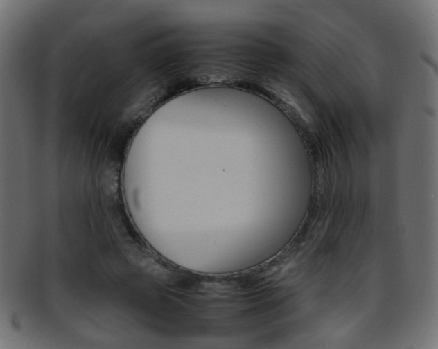 X0000095690545200801081041