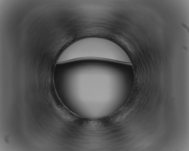 X0000095690546200801081041